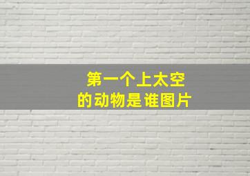 第一个上太空的动物是谁图片