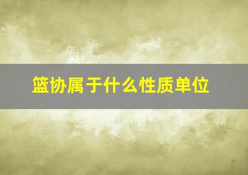 篮协属于什么性质单位