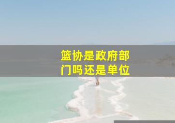 篮协是政府部门吗还是单位