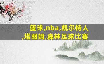 篮球,nba,凯尔特人,塔图姆,森林足球比赛