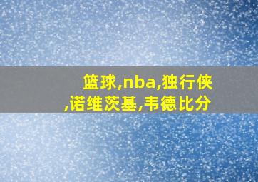 篮球,nba,独行侠,诺维茨基,韦德比分