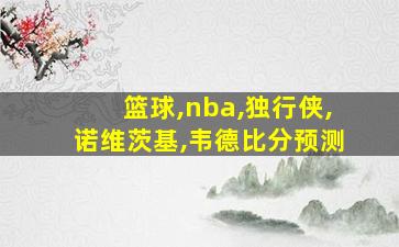 篮球,nba,独行侠,诺维茨基,韦德比分预测