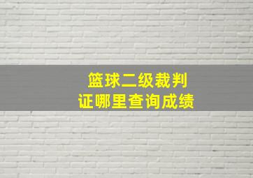 篮球二级裁判证哪里查询成绩