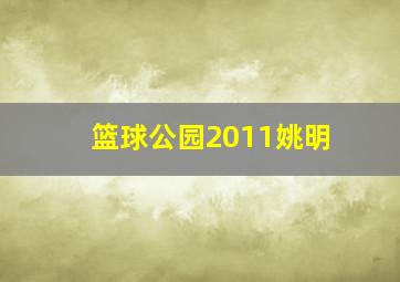 篮球公园2011姚明