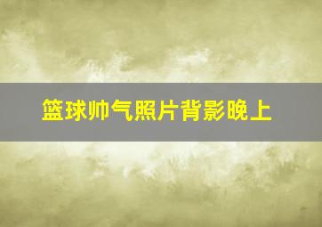 篮球帅气照片背影晚上