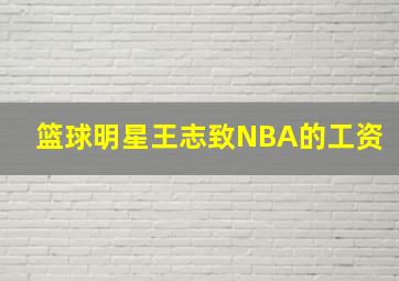 篮球明星王志致NBA的工资