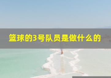 篮球的3号队员是做什么的