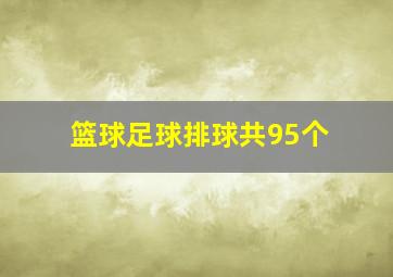 篮球足球排球共95个