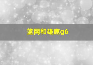 篮网和雄鹿g6