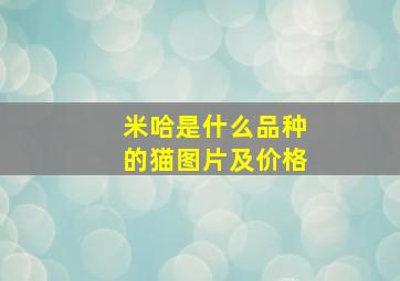 米哈是什么品种的猫图片及价格