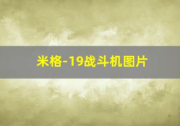 米格-19战斗机图片