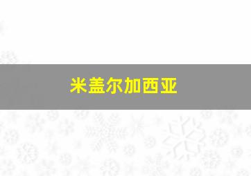 米盖尔加西亚