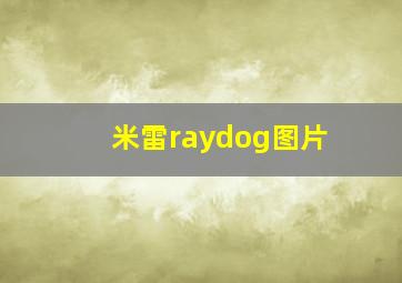 米雷raydog图片