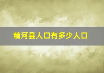 精河县人口有多少人口