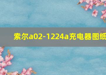 索尔a02-1224a充电器图纸