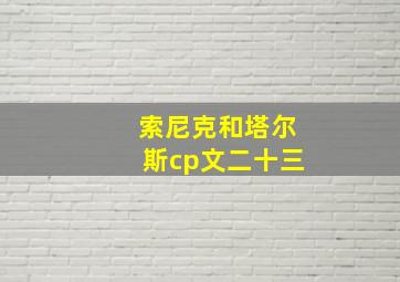 索尼克和塔尔斯cp文二十三