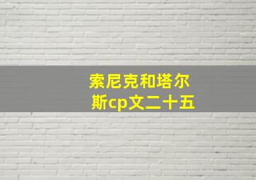 索尼克和塔尔斯cp文二十五