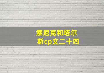 索尼克和塔尔斯cp文二十四