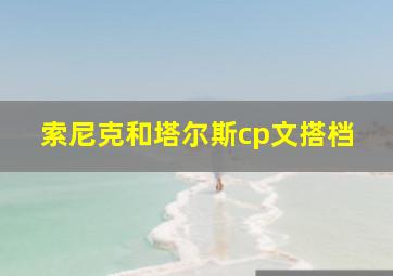 索尼克和塔尔斯cp文搭档