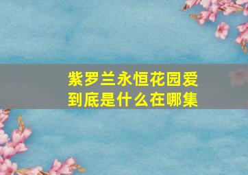 紫罗兰永恒花园爱到底是什么在哪集