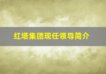 红塔集团现任领导简介