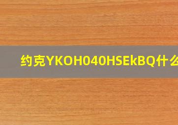 约克YKOH040HSEkBQ什么意思