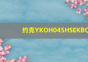 约克YKOH045HSEKBQ1