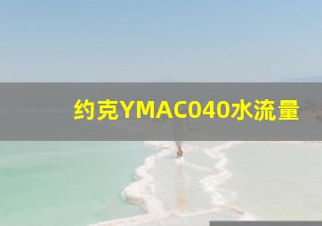 约克YMAC040水流量