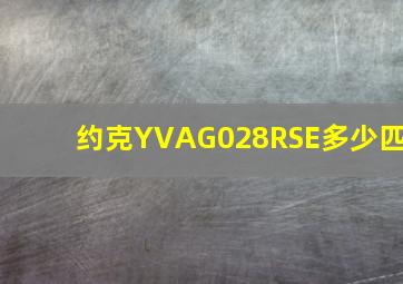 约克YVAG028RSE多少匹