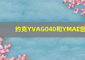 约克YVAG040和YMAE区别