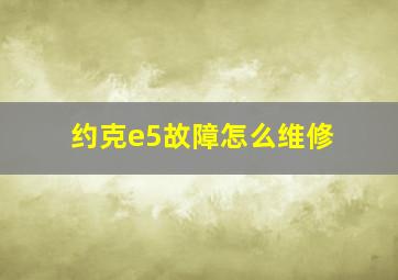 约克e5故障怎么维修