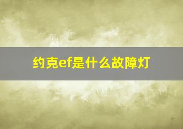 约克ef是什么故障灯