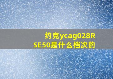 约克ycag028RSE50是什么档次的