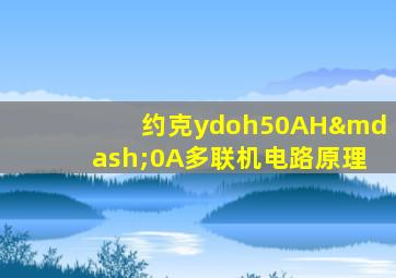 约克ydoh50AH—0A多联机电路原理