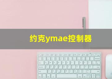 约克ymae控制器