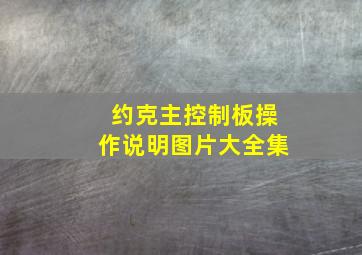 约克主控制板操作说明图片大全集