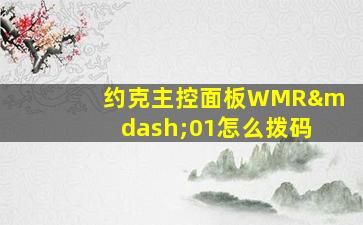 约克主控面板WMR—01怎么拨码