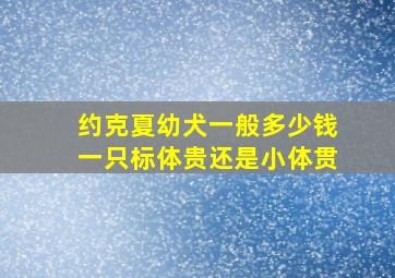 约克夏幼犬一般多少钱一只标体贵还是小体贯