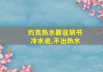 约克热水器说明书冷水进,不出热水