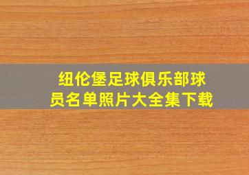 纽伦堡足球俱乐部球员名单照片大全集下载