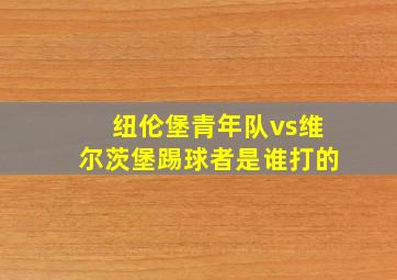 纽伦堡青年队vs维尔茨堡踢球者是谁打的