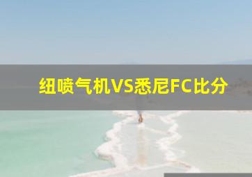 纽喷气机VS悉尼FC比分