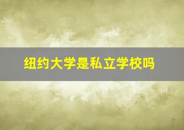 纽约大学是私立学校吗