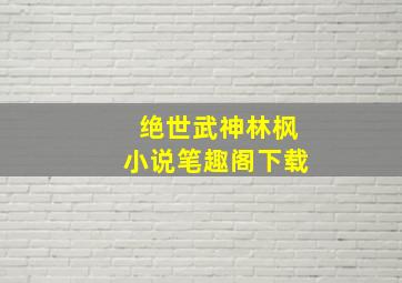 绝世武神林枫小说笔趣阁下载