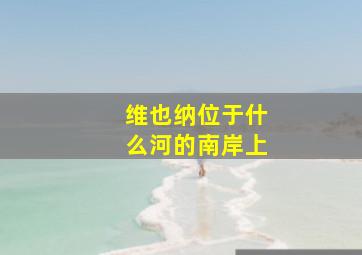 维也纳位于什么河的南岸上