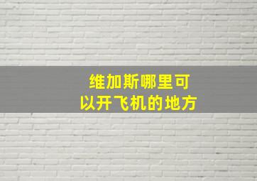 维加斯哪里可以开飞机的地方