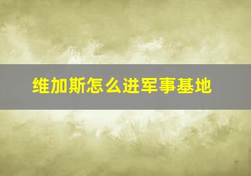 维加斯怎么进军事基地