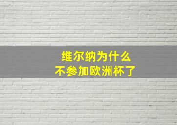 维尔纳为什么不参加欧洲杯了