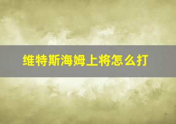 维特斯海姆上将怎么打