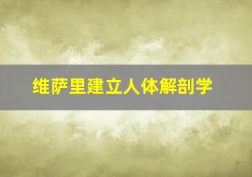 维萨里建立人体解剖学